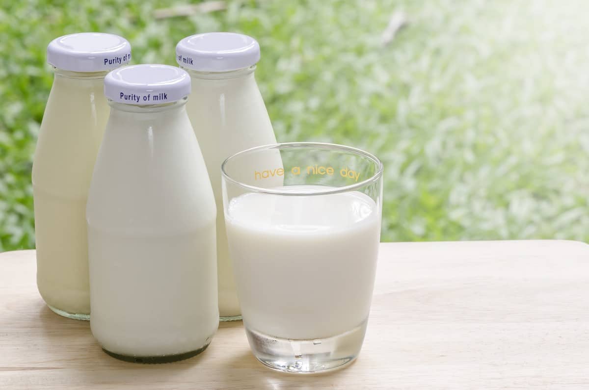 whole-milk-is-more-expensive-than-other-milk-here-s-why-cook-for-folks