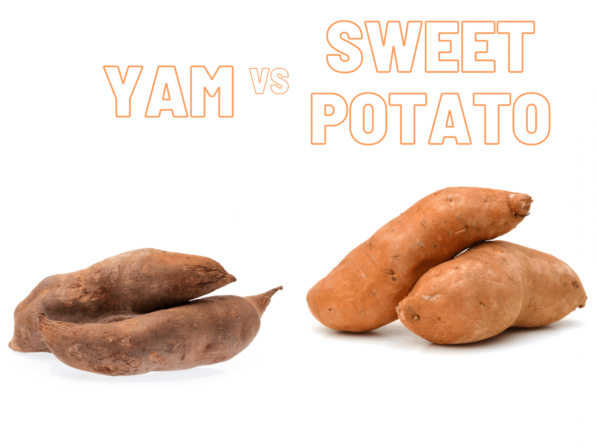 The Difference Between a Yam and a Sweet Potato. Cook for Folks