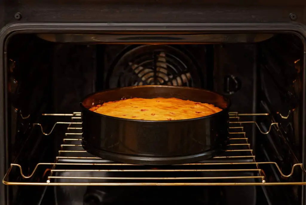 Closeup homemade plum pie is prepared in the domestic oven.