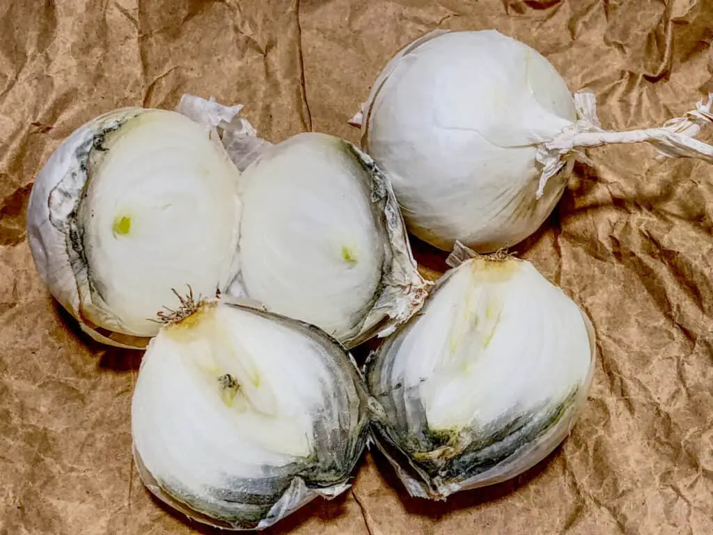 White onions cut in half with dark mold