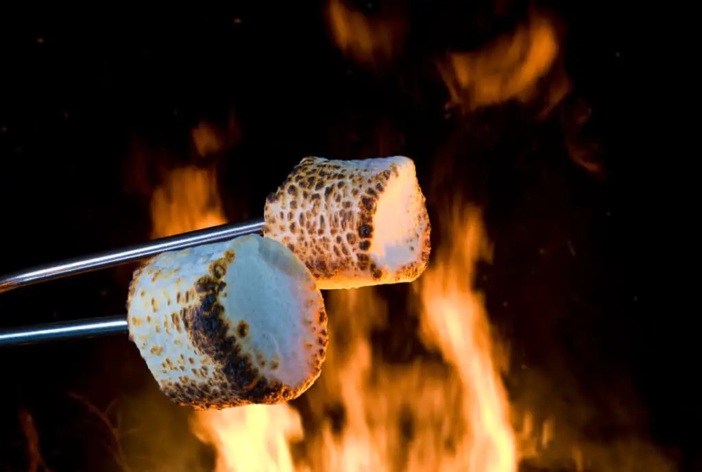 Burning marshmallows being roasted over a fire