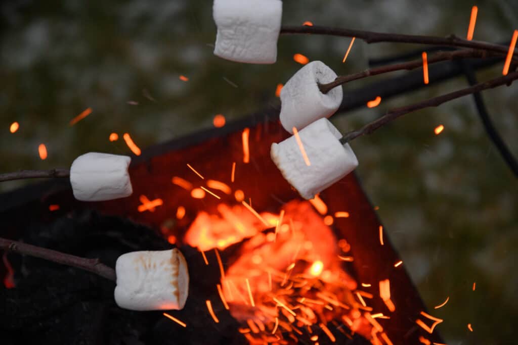 Marshmallows on sticks being roasted over a fire