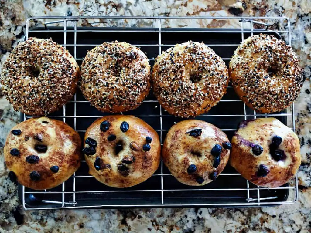 Variety of homemade baked bagels on steel baking sheet rack countertop