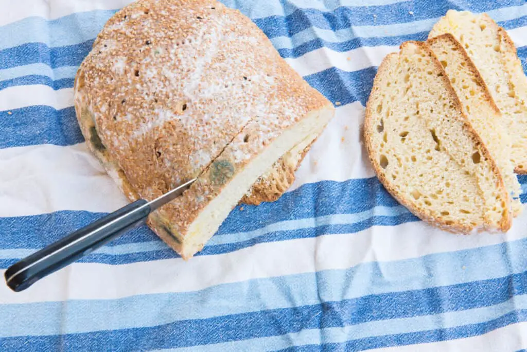 Sourdough Bread with mold on blue and white tablecloth