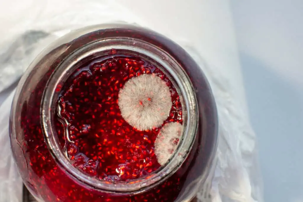 Raspberry jam with mold on top