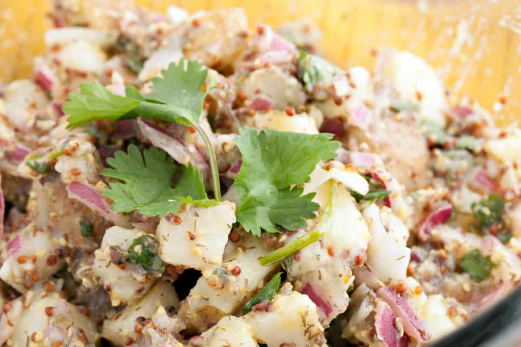 Potato salad freshly homemade with cilantro, olive oil, vinegar, whole grain dijon mustard, red onions, and potatoes