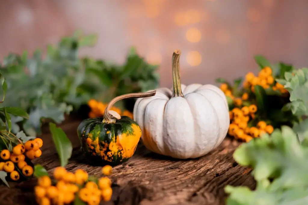 pumpkins on a table with other fall decor